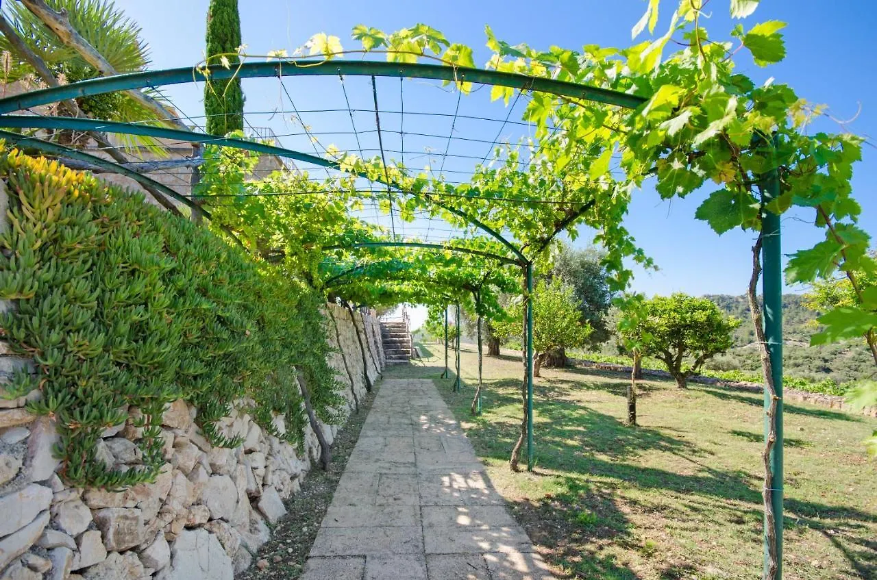 Finca Son Romani Villa Son Macia  Son Macia (Mallorca)